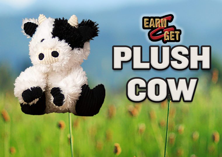 Earn & Get Plush Cow