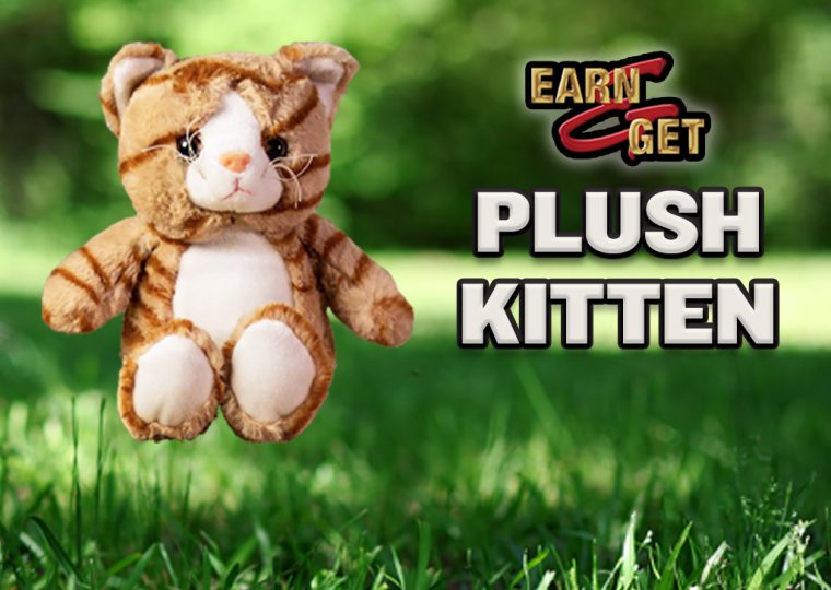Earn & Get Plush Kitten