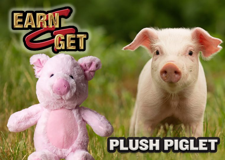 Earn & Get Plush Piglet