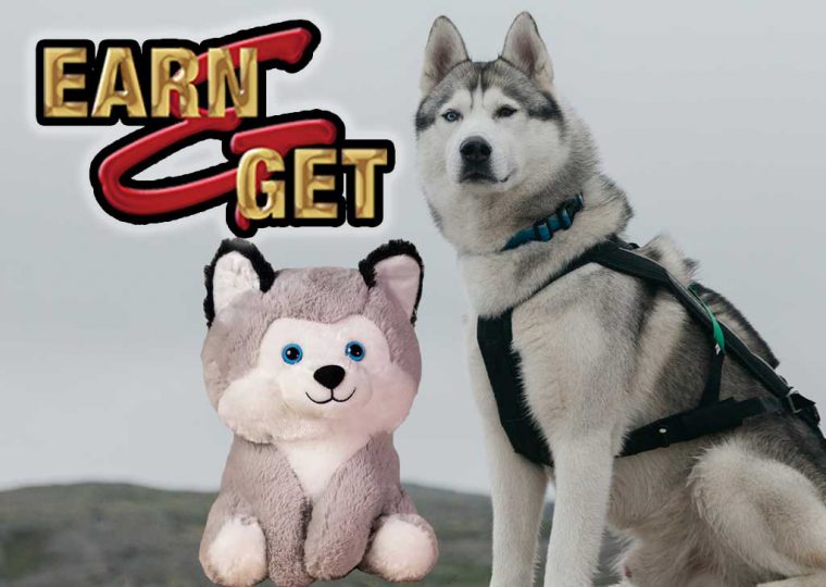 Earn & Get Plush Huskie