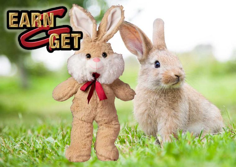 Earn & Get Plush Bunny