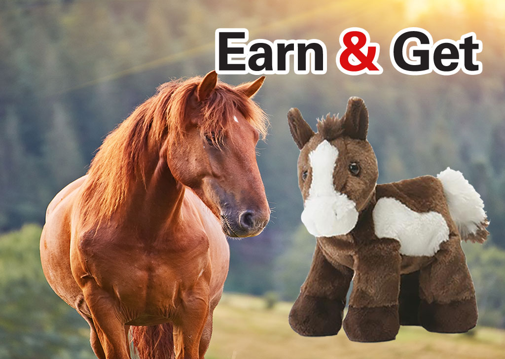 Earn N Get Plush Pony