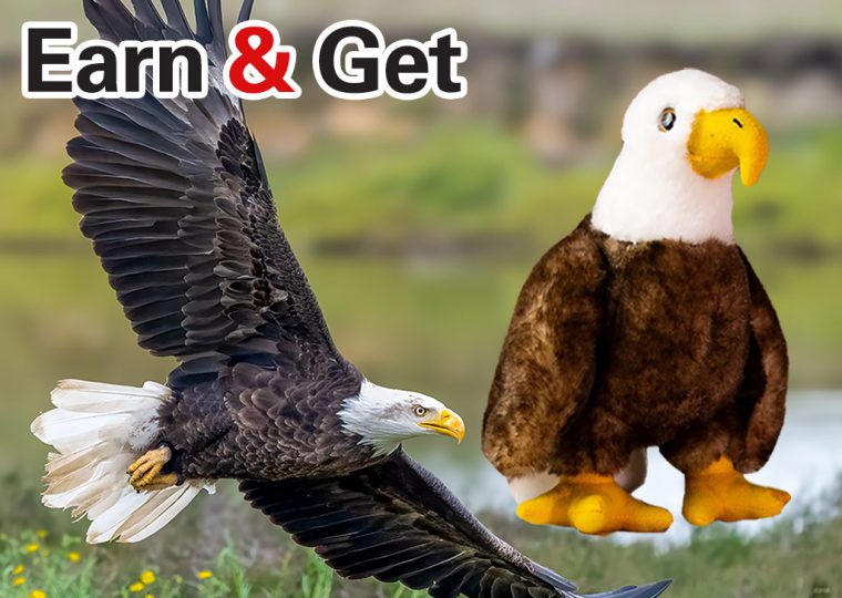 Earn N Get Plush Eagle